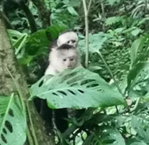 住宿加早餐  Casita Maripier Colón