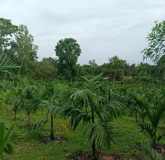 Hotelli Finer Things Retreat