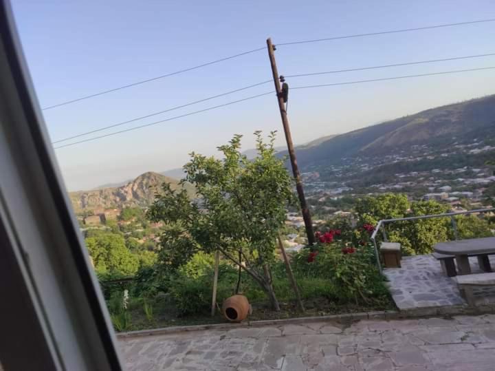 پانسیون Green House