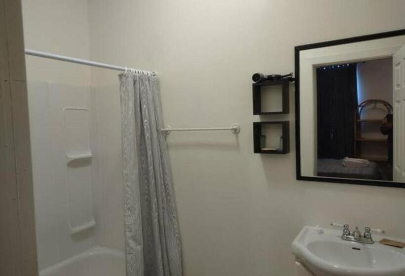 پانسیون Jelly Bean 1