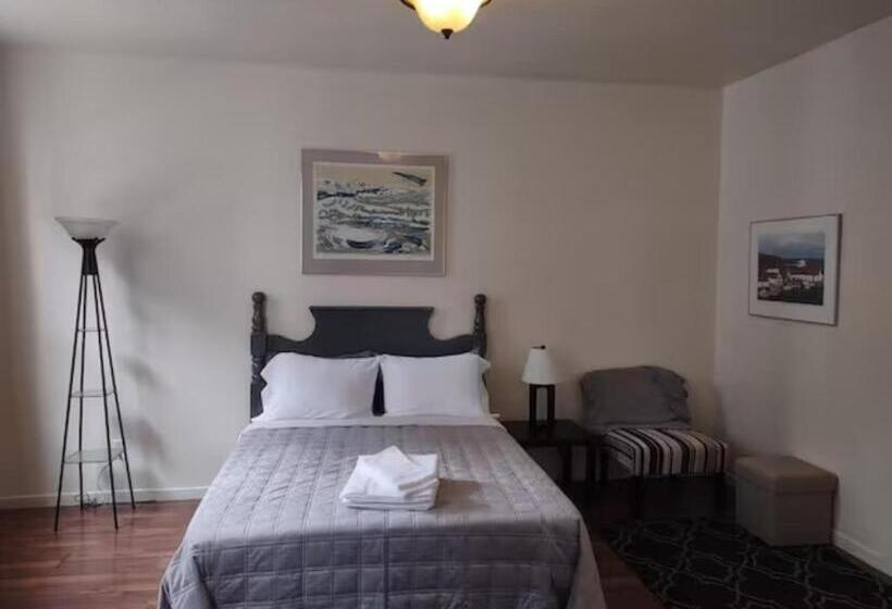 پانسیون Jelly Bean 1