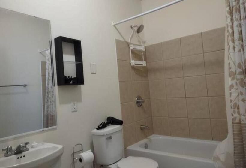 پانسیون Jelly Bean 1