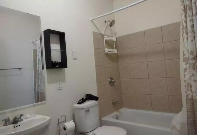 Majatalo Jelly Bean 1