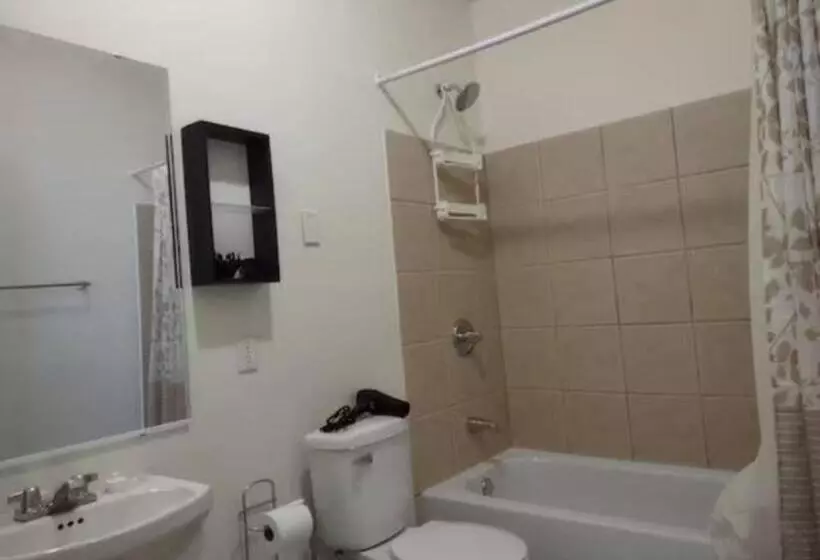 Majatalo Jelly Bean 1