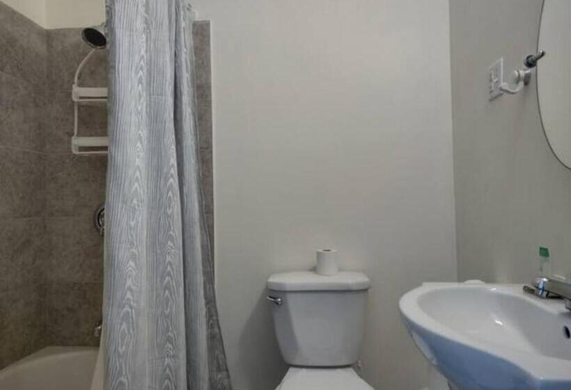 پانسیون Jelly Bean 1