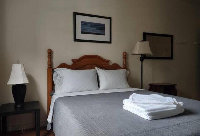 پانسیون Jelly Bean 1