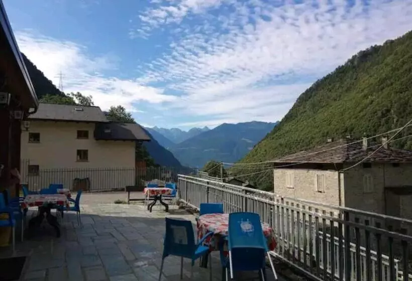 Majatalo Terra E Radici_ Betula