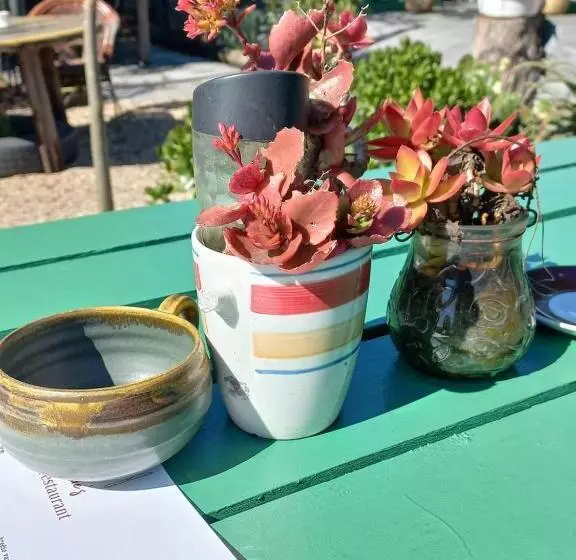 Suzies Huis Restaurant Bed And Breakfast