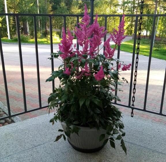 تختخواب و صبحانه Birgittagården Gästhem Birgittasystrarna