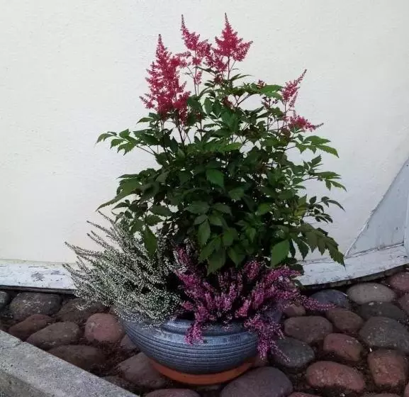 ベッドアンドブレックファースト Birgittagården   Gästhem   Birgittasystrarna