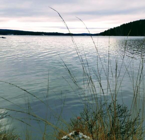 تختخواب و صبحانه Birgittagården Gästhem Birgittasystrarna