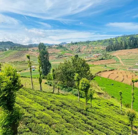 ベッドアンドブレックファースト Florence Ooty