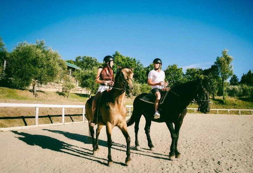 Farmhouse With Swimming Pool Surrounded By Greenery In San Donato Fronzano, Apartments With Air Cond