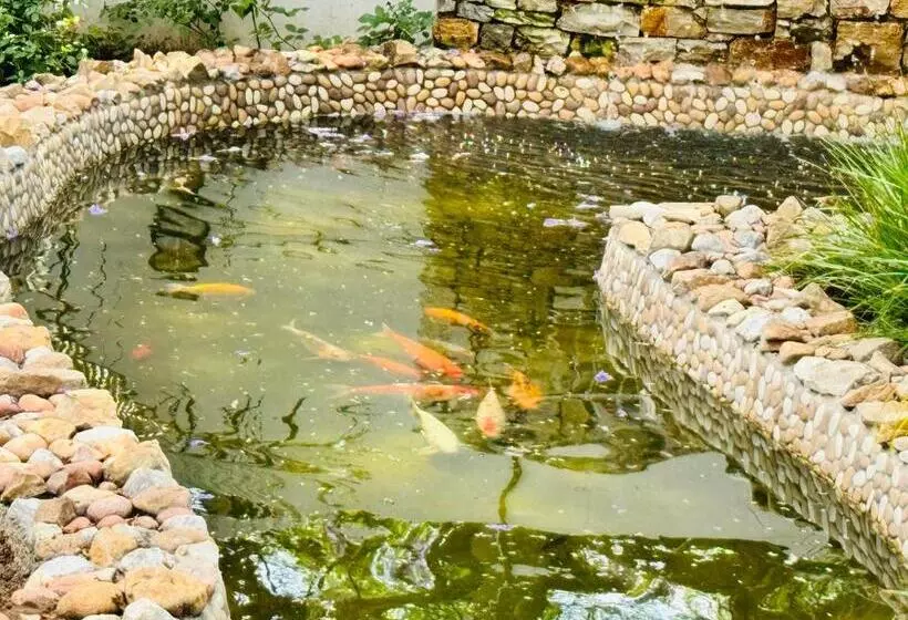 Hotelli C Est La Vie Boutique