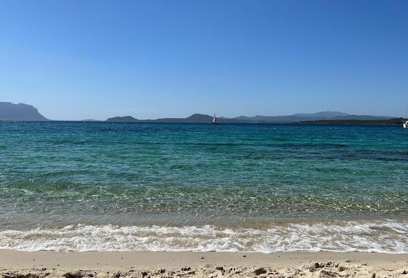 پانسیون Dome House