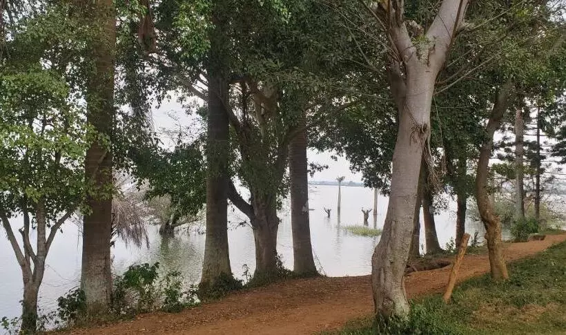 تختخواب و صبحانه Dream Day Cottages