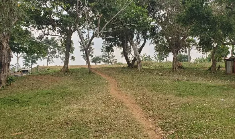 تختخواب و صبحانه Dream Day Cottages