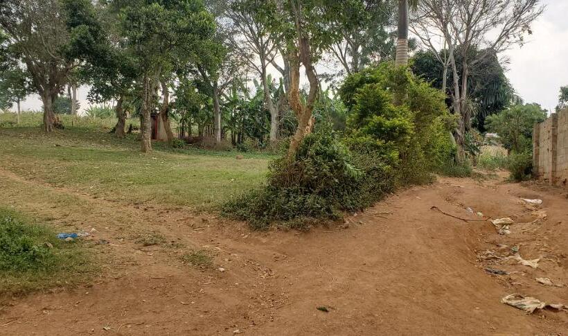 تختخواب و صبحانه Dream Day Cottages