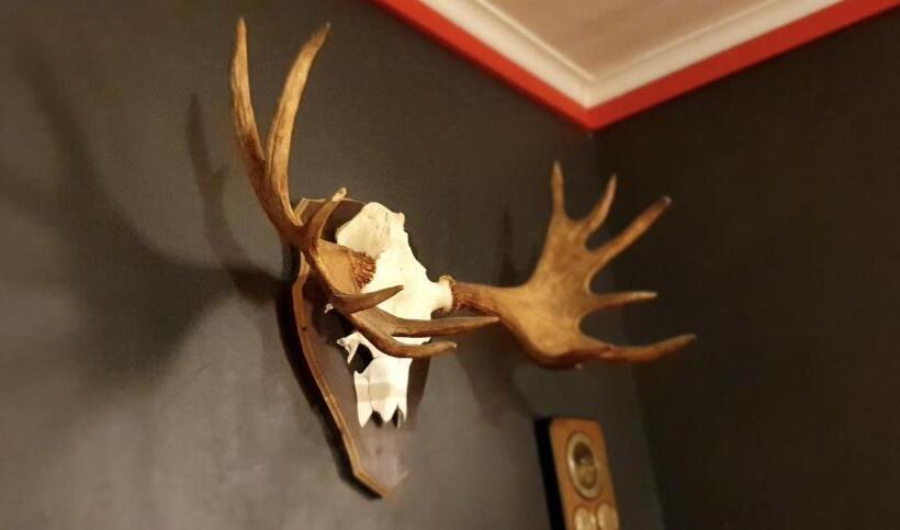 צימר Jrocksvilla