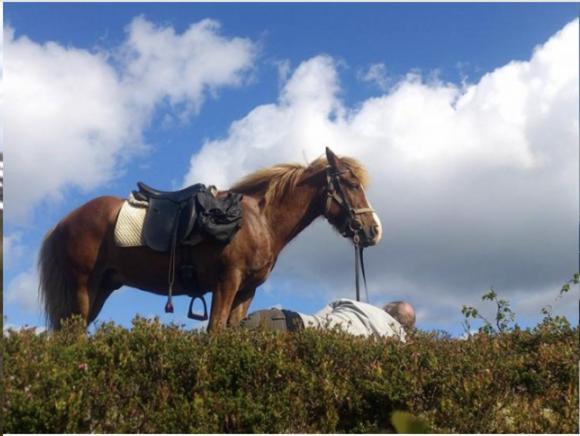 צימר Jrocksvilla