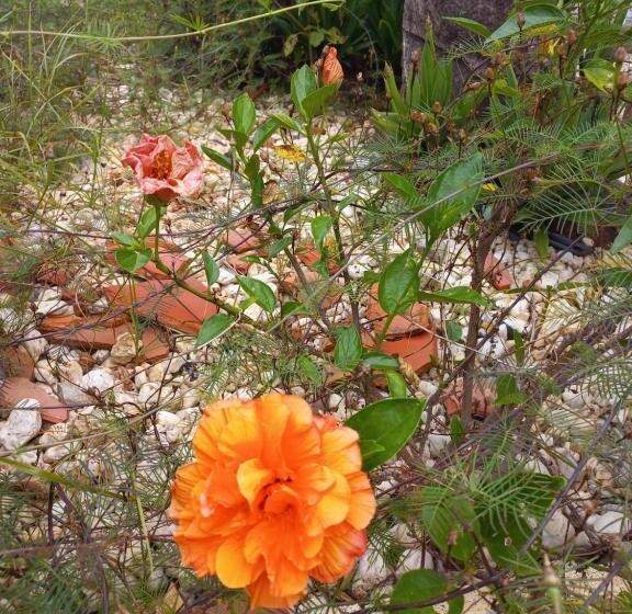 Bed and Breakfast Karol Pousadas Paracatu