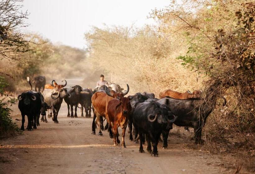 호텔 Daksh Eden Greenz  A Luxury Resort In Sasan Gir