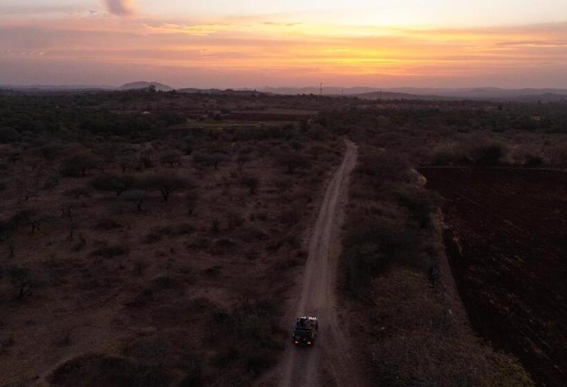 Отель Daksh Eden Greenz A Luxury Resort In Sasan Gir