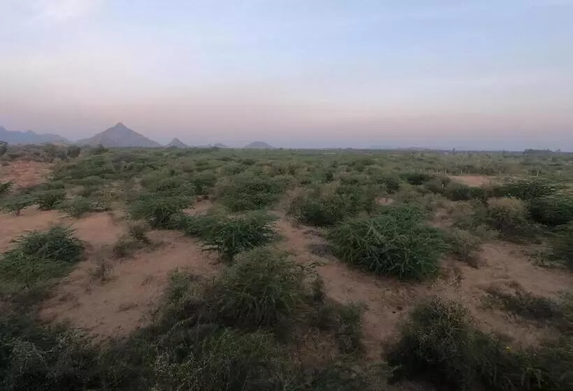 Hotelli Jawai Thar Resort