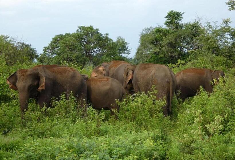 בית מלון כפרי Wild Animal Viewpoint Udawalwe