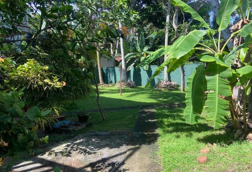 بنسيون Apartment Inn