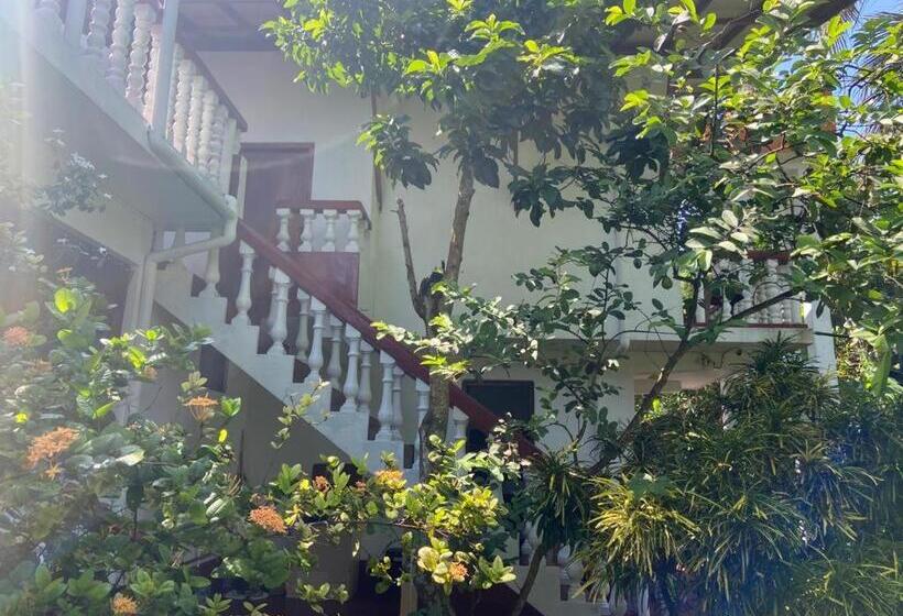 بنسيون Apartment Inn