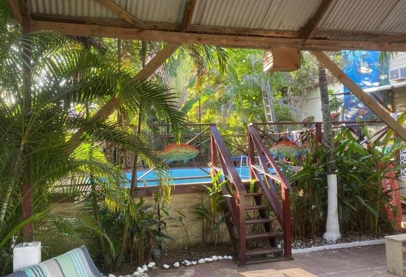 پانسیون Hostal Caribbean Beach