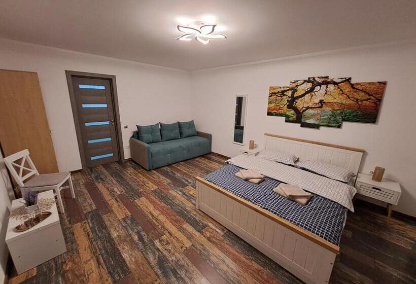 پانسیون Villa Fabian Râșnov