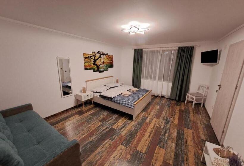 پانسیون Villa Fabian Râșnov