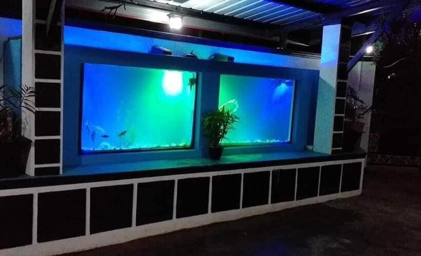 ペンション Vj Villa