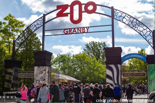 Suite Au Centre De L’estrie