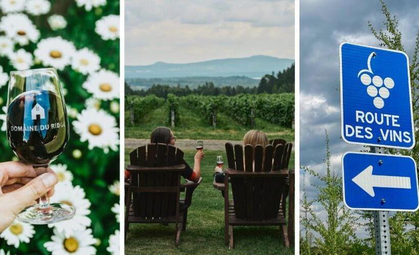 Suite Au Centre De L’estrie