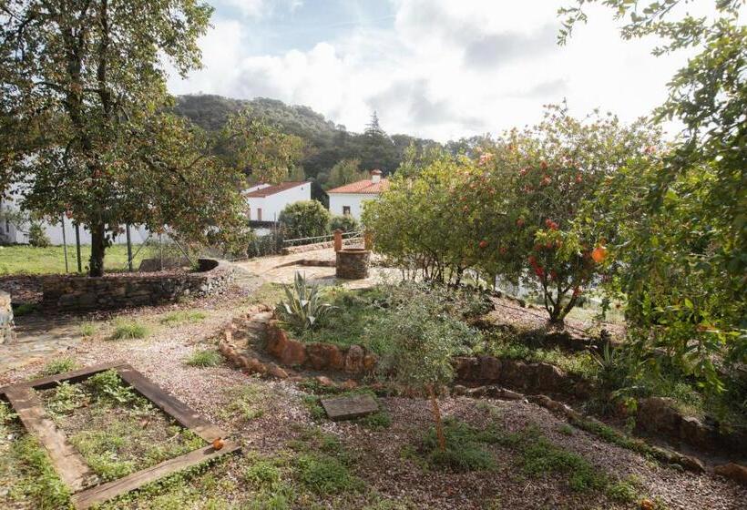 Общежитие Alojamiento El Monasterio