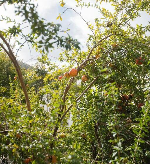 Общежитие Alojamiento El Monasterio