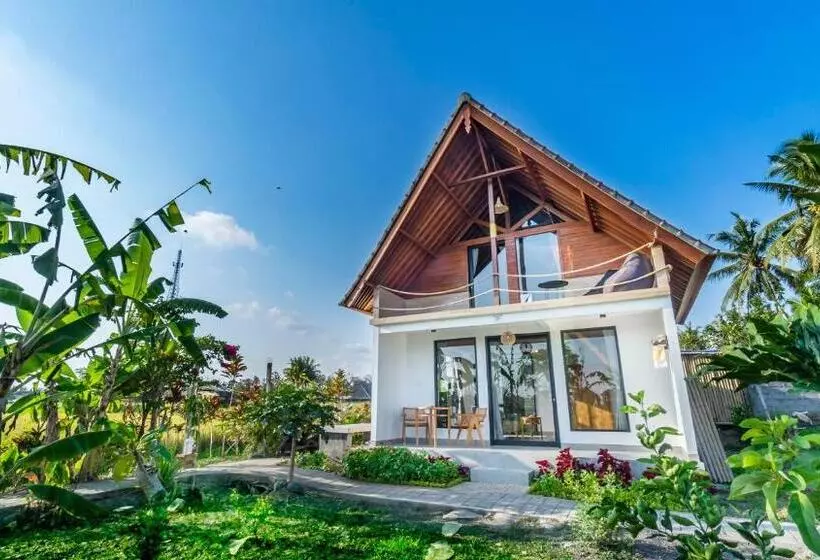 Aamiaismajoitus (B&B) Samasta Ubud