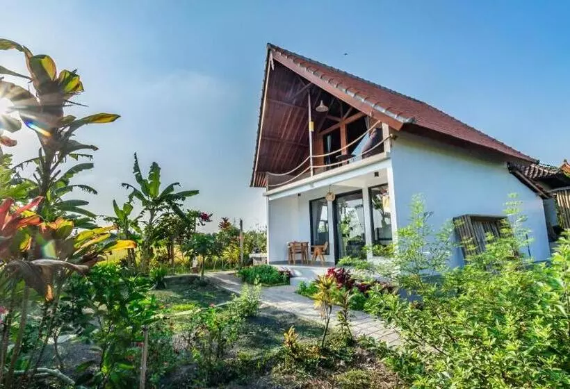 Aamiaismajoitus (B&B) Samasta Ubud