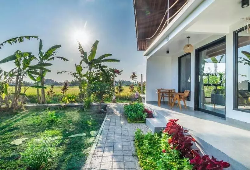 Aamiaismajoitus (B&B) Samasta Ubud