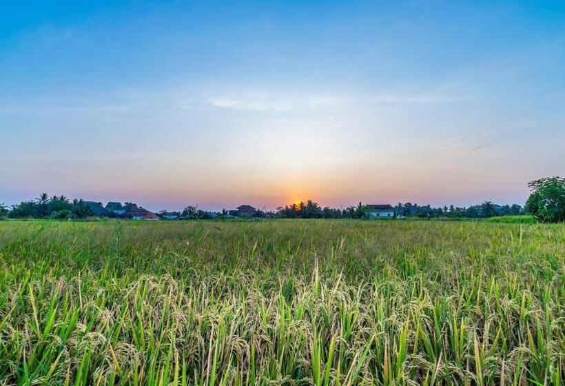 ベッドアンドブレックファースト Samasta Ubud