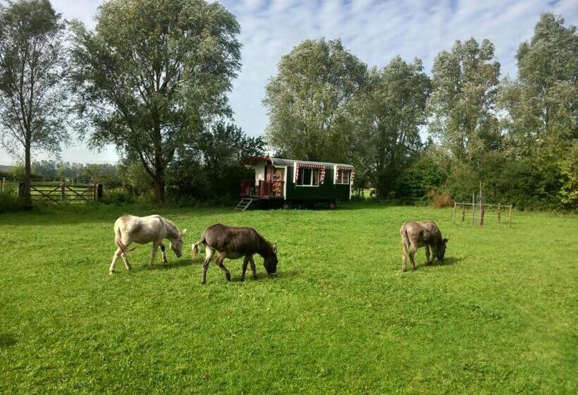 בית מלון כפרי Home Bij Zee