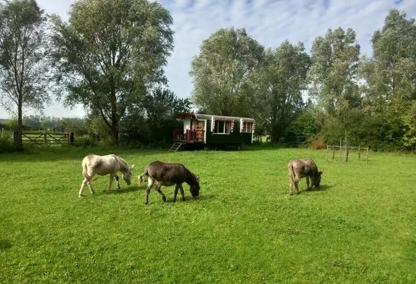 ホテル Home Bij Zee