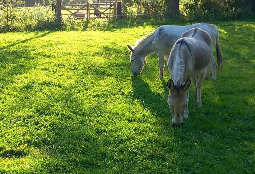 בית מלון כפרי Home Bij Zee