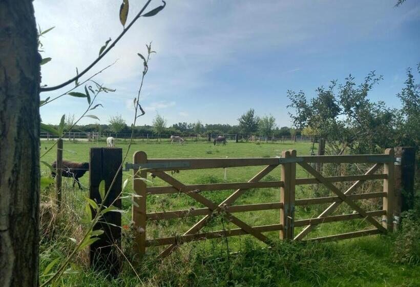 בית מלון כפרי Home Bij Zee