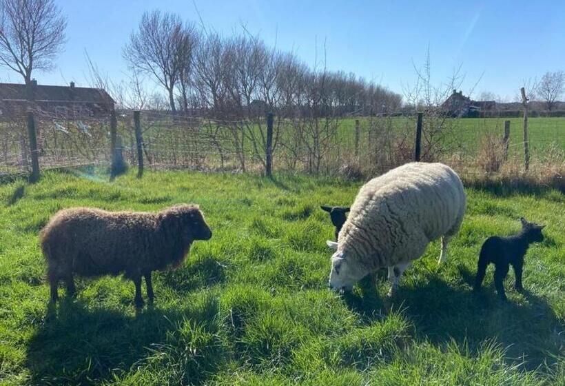 בית מלון כפרי Home Bij Zee