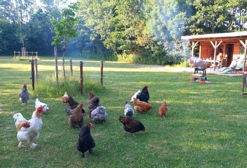 בית מלון כפרי Home Bij Zee