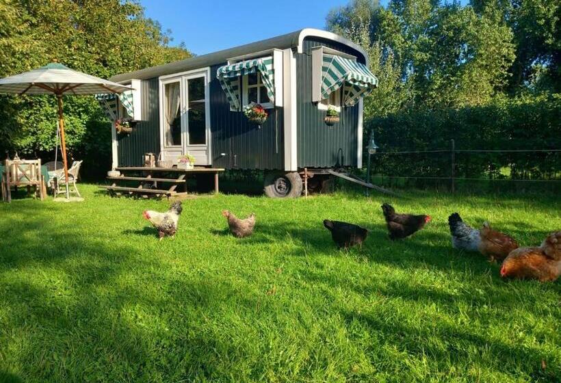 בית מלון כפרי Home Bij Zee